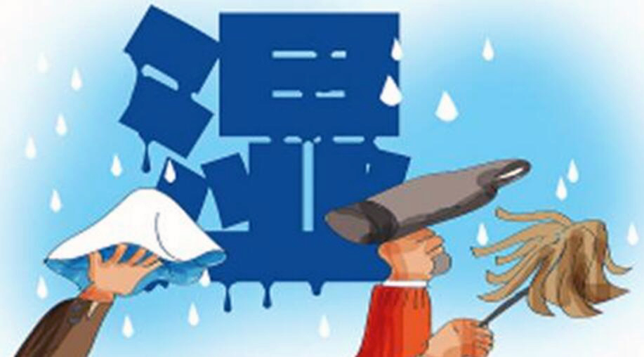 除濕機的原理！回南天潮濕天氣怎樣，回南天防潮攻略？